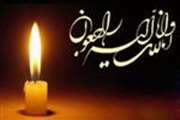 جناب آقای دکتر بهمن نقیبی